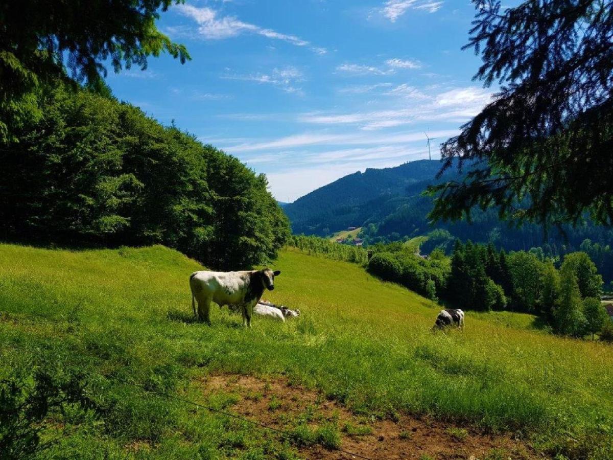 Hotel Walkenstein Oberwolfach Экстерьер фото